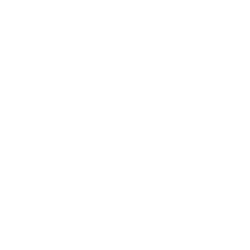 Cervo Logo